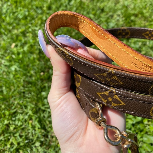 Louis Vuitton leash - Picture 8 of 16